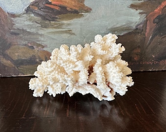 May include: A large, white coral specimen with a branching, organic shape. The coral is bleached white and has a rough, textured surface.