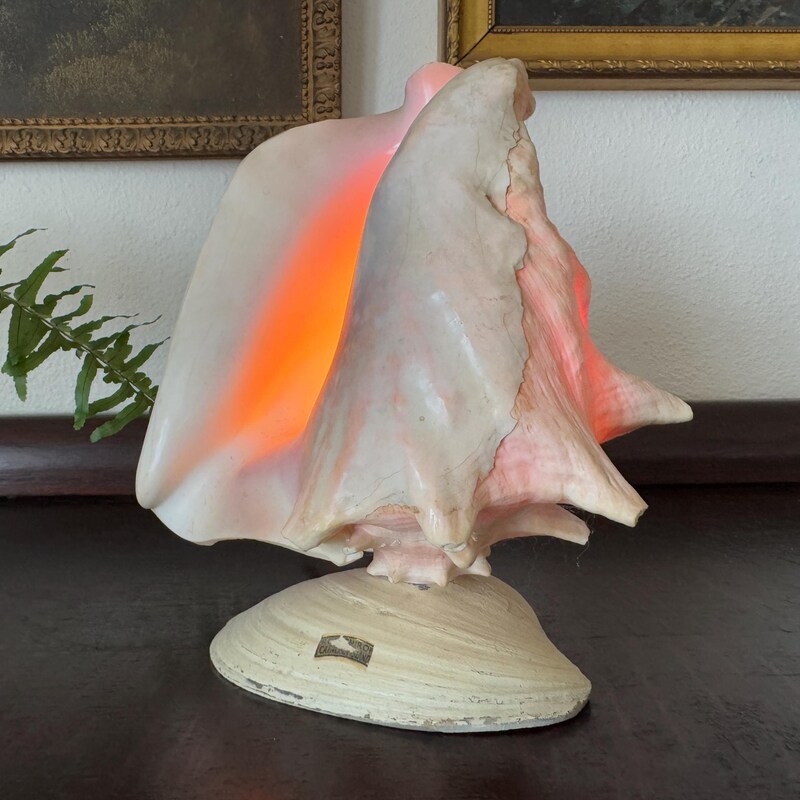 Conch Shell Lamp - Etsy