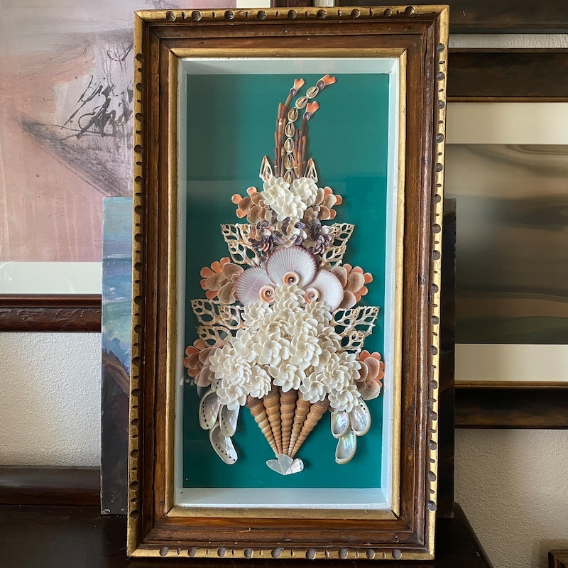 Real Shell Art Large Seashell Wall Art - Etsy