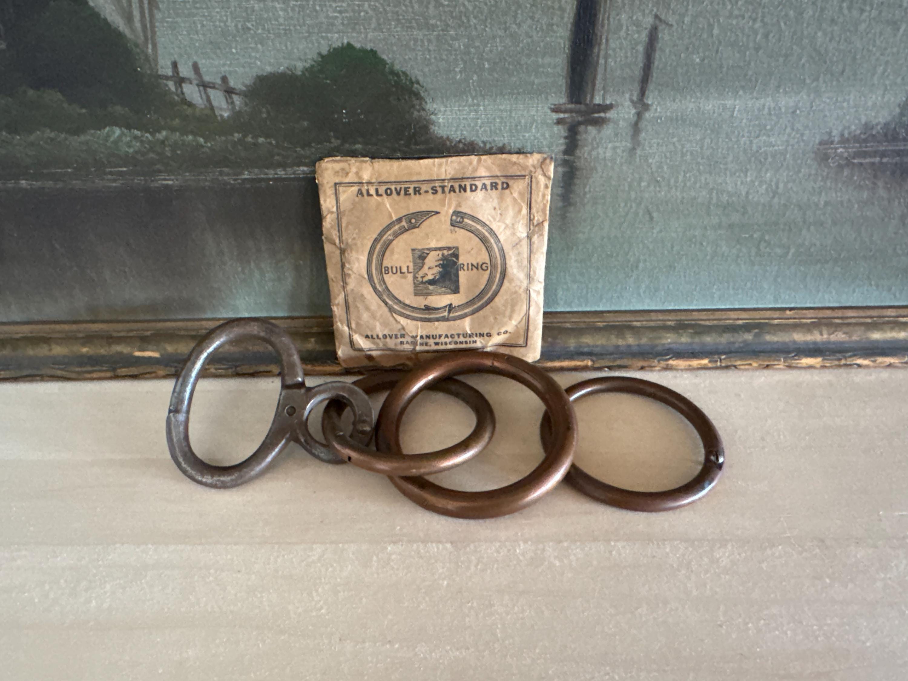 Vintage Bull Ring Bangle - Etsy
