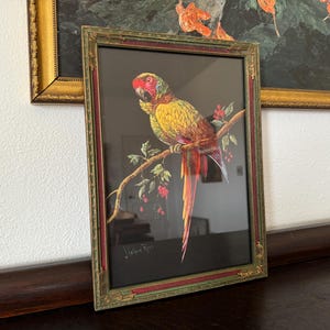 Antique Late 1800s Joseph Halford Ross Parrot Chromolithograph
