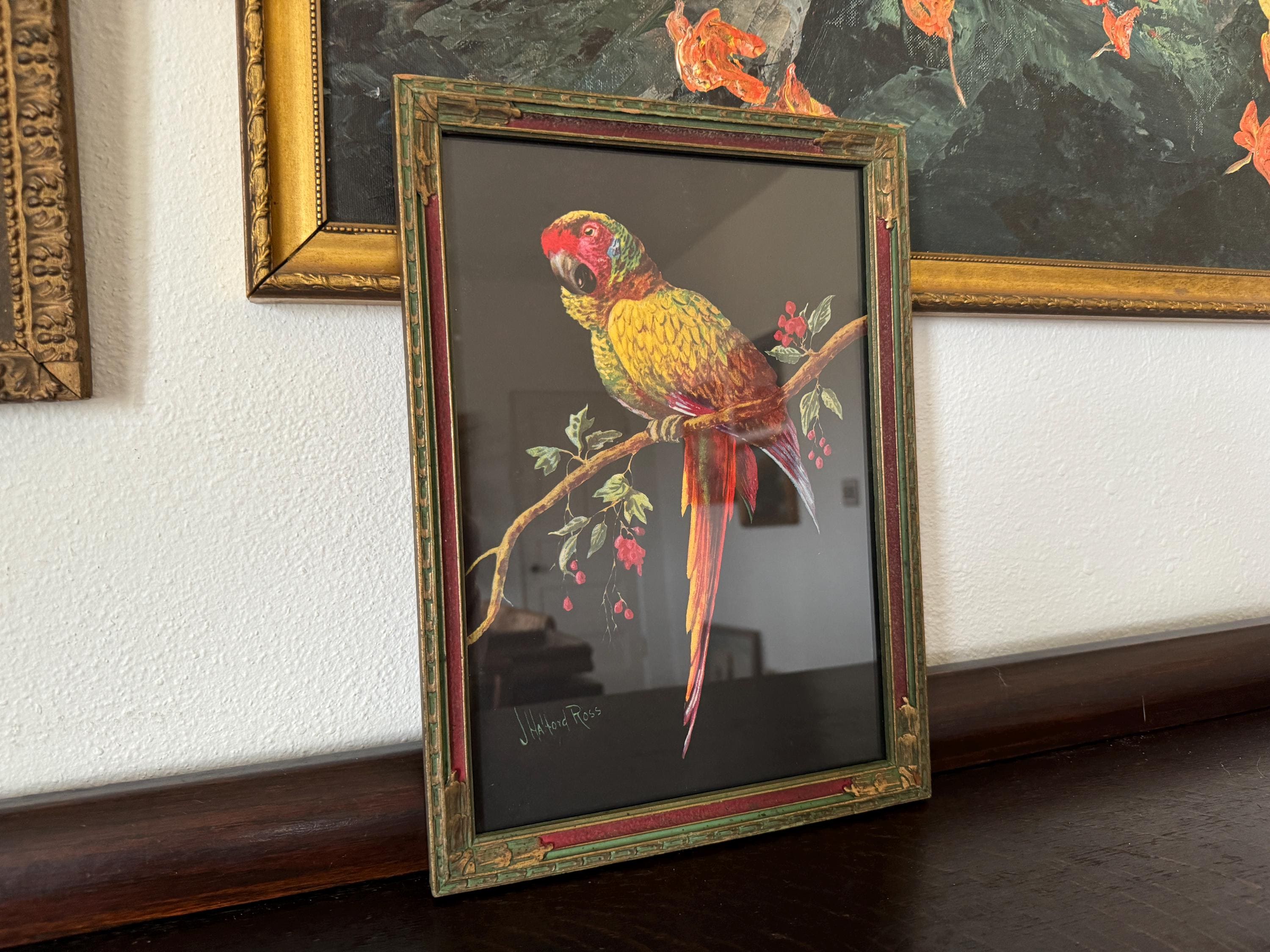 Antique Late 1800s Joseph Halford Ross Parrot Chromolithograph