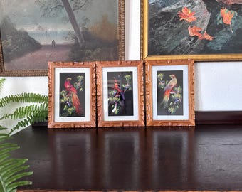 Vintage Mexican Feathercraft Bird Feather Mixed Media Set of 3
