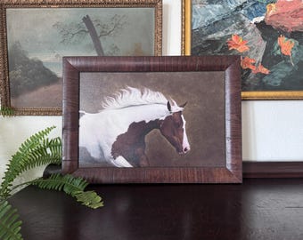 May include: A rectangular framed print featuring a painting of a brown and white pinto horse with a flowing white mane. The horse is depicted in profile against a dark brown background, enclosed in a dark wood-toned frame with a textured finish.