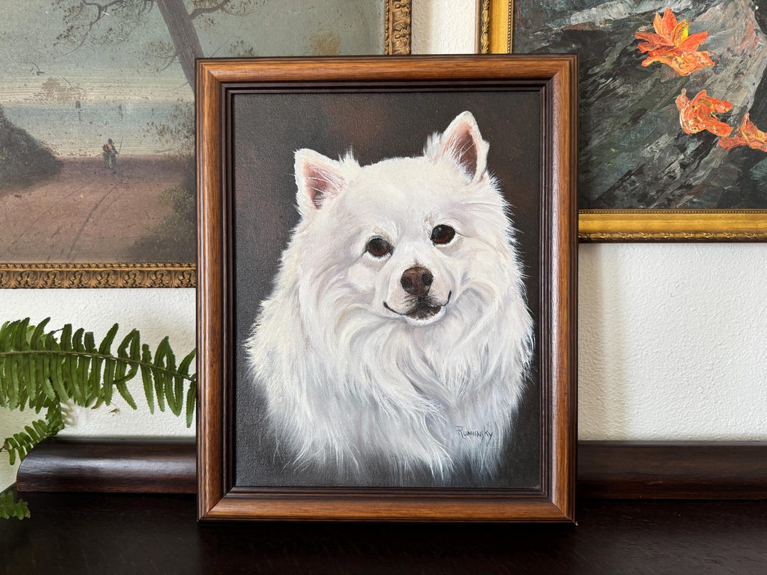 Vintage American Eskimo Portrait Framed Vintage Samoyed Painting