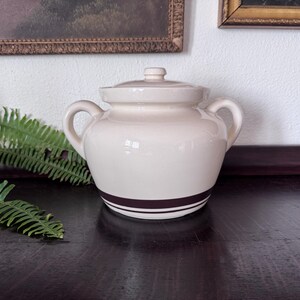 May include: Cream-colored ceramic jar with a lid and two handles. A dark brown stripe encircles the base. The jar sits on a dark wooden surface, with green fern leaves in the background.