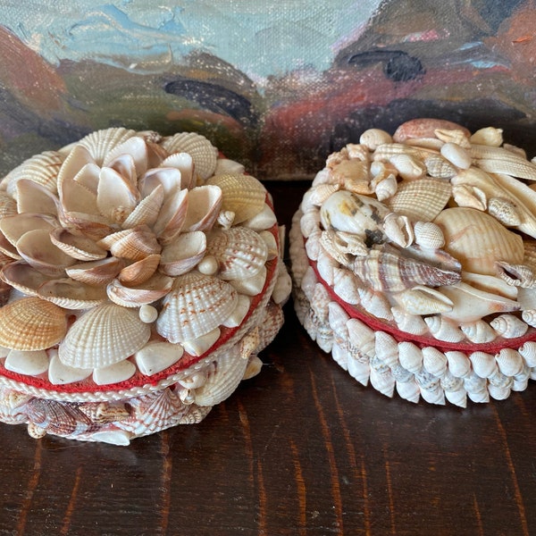 Seashell Box Etsy