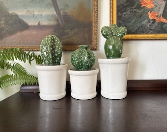 Hand-Painted Cactus Boho Ceramic Canister Jar Set of 3