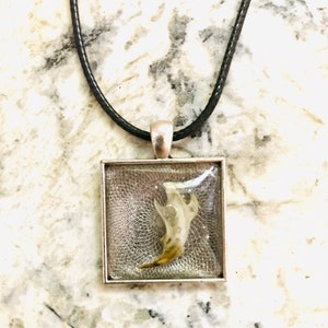 May include: A silver square pendant necklace with a black cord. The pendant contains a clear resin with a small, light brown animal claw inside.