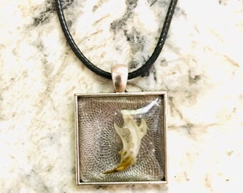 Vole Jaw Bone in Resin Pendant Necklace