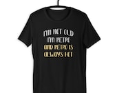 Not Old, Retro Is Always Hot Funny Birthday T-Shirt