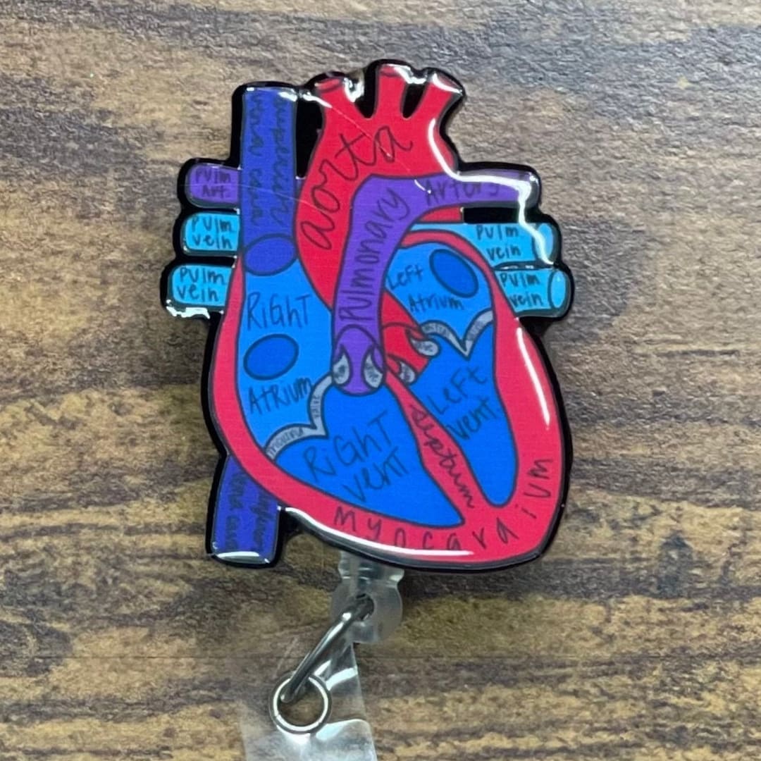 Labeled Anatomical Heart Badge Reel, Anatomical Heart Badge Reel