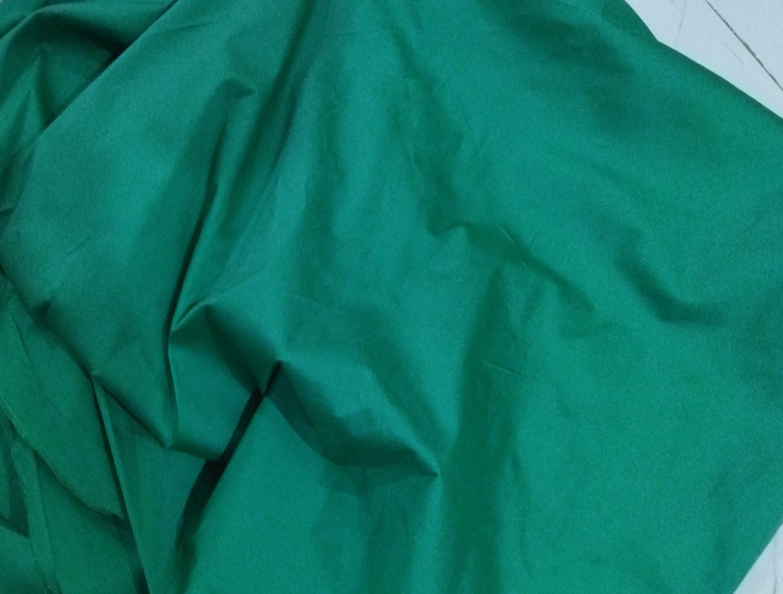 Iguana Taffeta Silk Fabric
