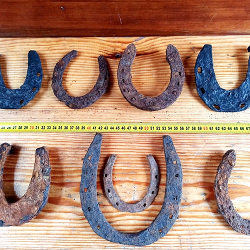 Ancient horseshoes for horses (1319 centuries). Ancient elements of horse harness of Kievan Rus