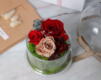 Mini eternal roses glass dome high quality preserved roses, preserved flowers, wedding decor, home decor, floral arrangement