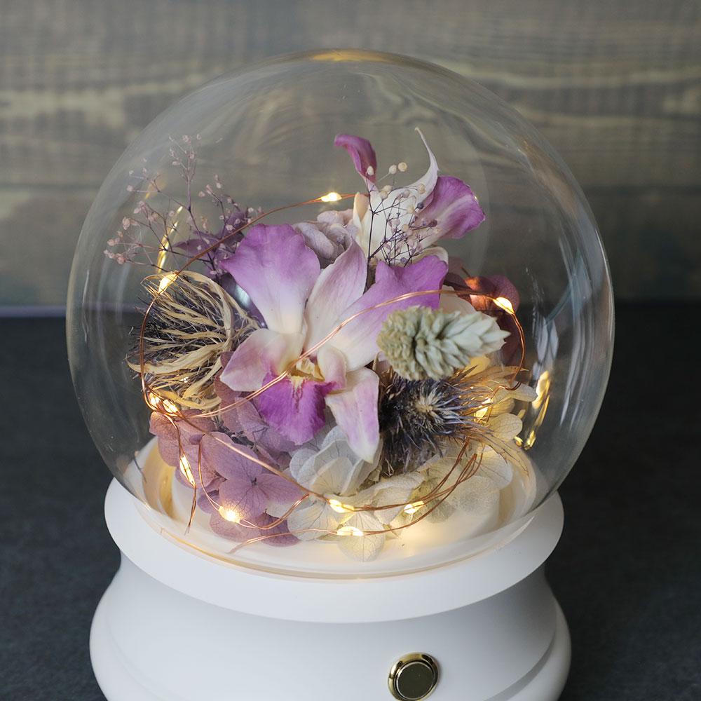 Preserved Purple Preserved Flowers Orchid Rose Glass Dome: LED