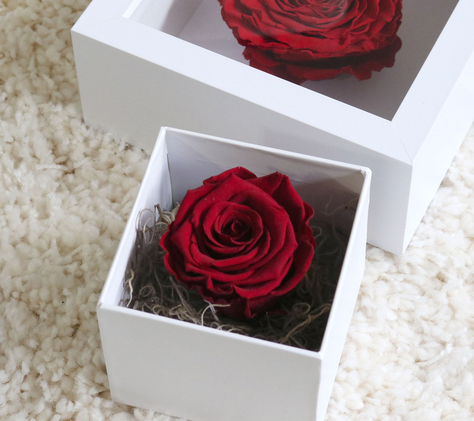 Single XL Eternal Rose Gift Box High Quality Preserved Roses Etsy UK