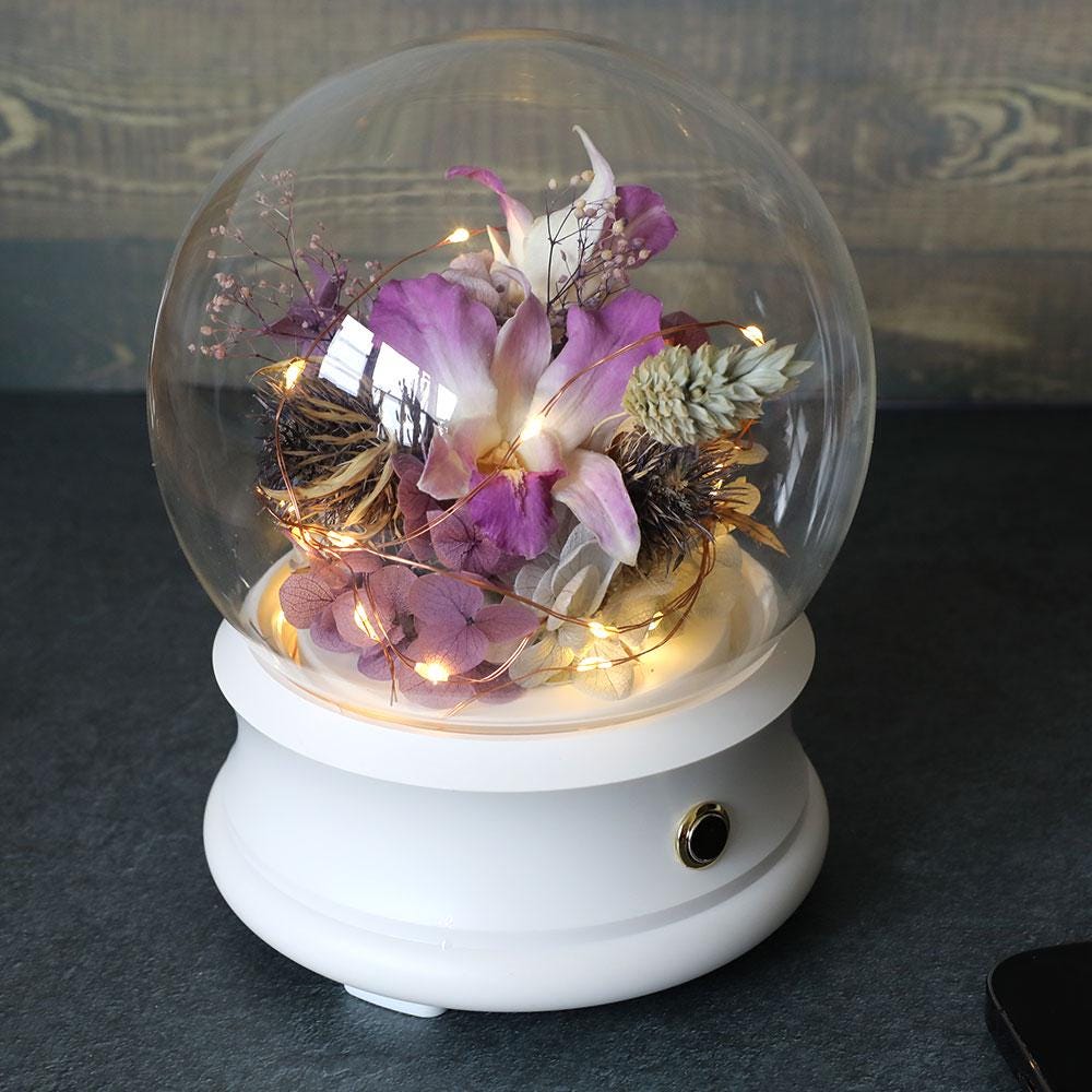Preserved Purple Preserved Flowers Orchid Rose Glass Dome: LED