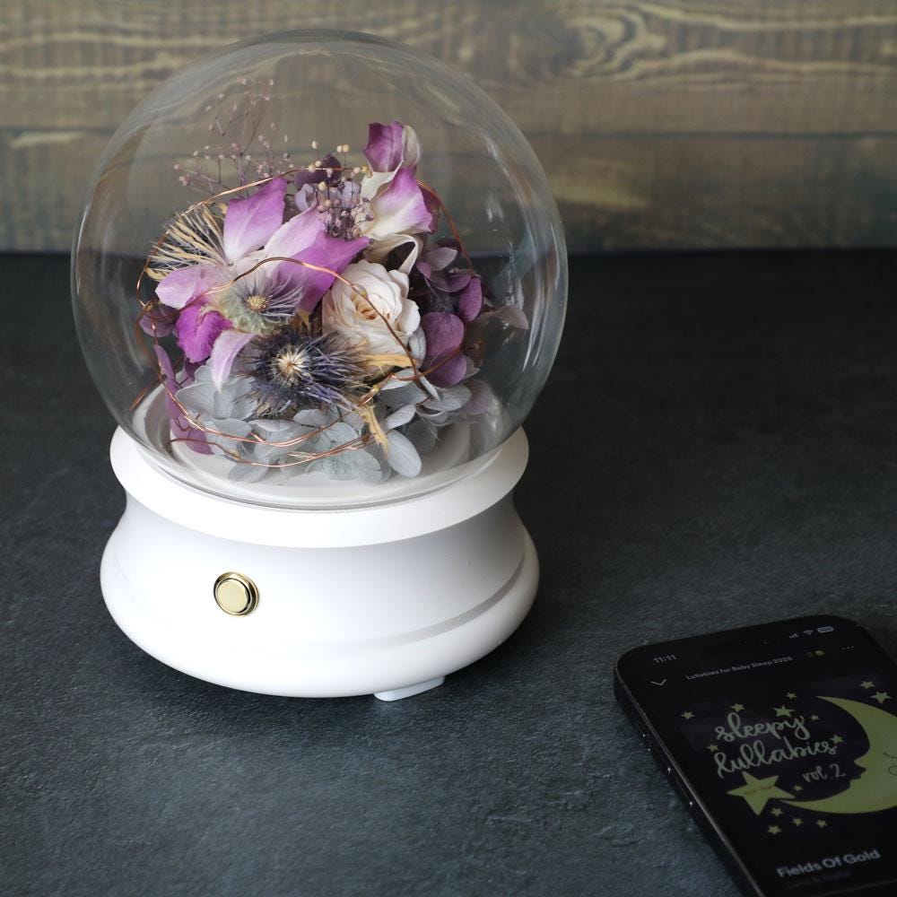Preserved Purple Preserved Flowers Orchid Rose Glass Dome: LED