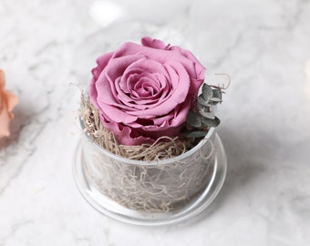 Single eternal rose glass dome high quality preserved roses, preserved flowers, wedding decor, home decor, floral arrangement