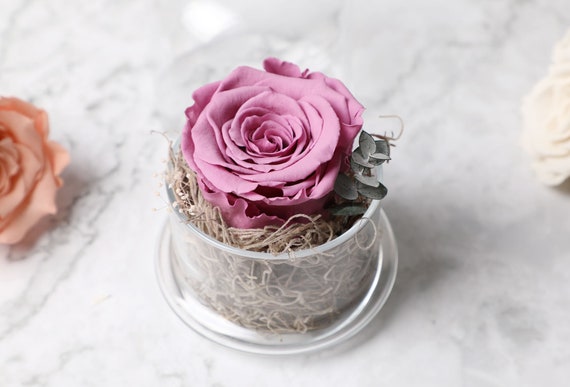 Rosa eterna - Decorali tu floreria consentida EdoMex y CDMX
