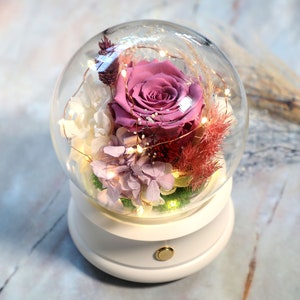 May include: A glass dome with a preserved purple rose and other flowers inside. The dome is lit with fairy lights and sits on a white music box base.