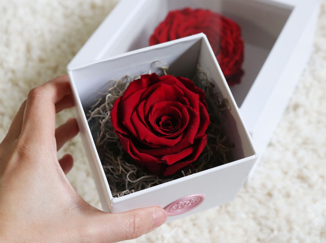 Single XL Eternal Rose Gift Box High Quality Preserved Roses Etsy UK