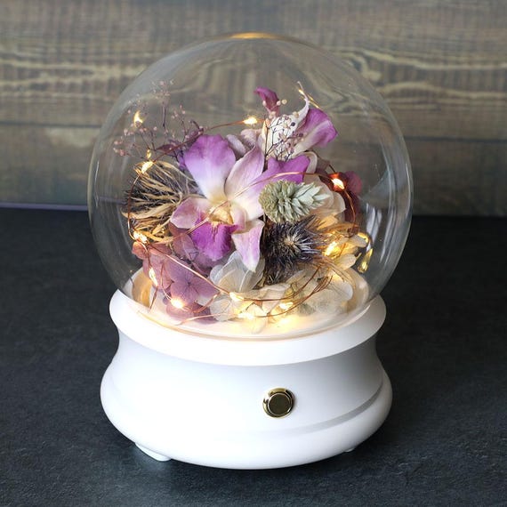 Preserved Purple Preserved Flowers Orchid Rose Glass Dome: LED