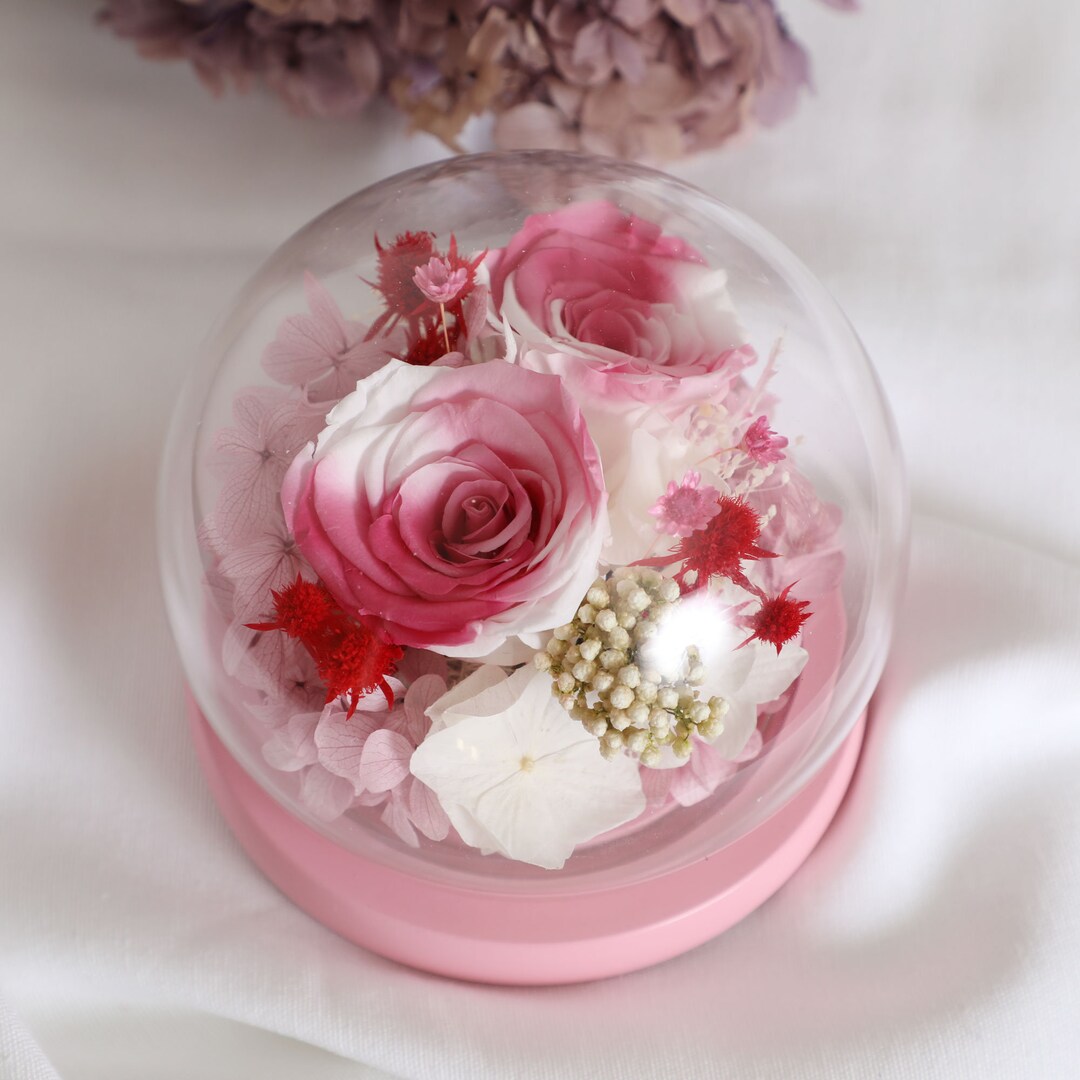 Pink Eternal Roses Dried Flowers Glass Dome Table Display Etsy