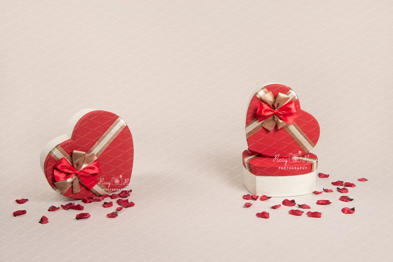 Valentines Day digital background valentine hearts sitter background photoshop love, composite digital backdrop sitter backdrop