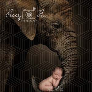 Elephant digital background, elephant, elephant newborn baby, digital backdrop, elephant background, photography prop, newborn prop