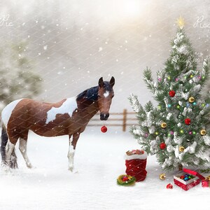 Christmas tree digital backdrop, winter field digital background, snowy digital background, christmas, snow, horse digital background x2