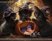 Halloween newborn background, pumpkin newborn backdrop, Halloween digital, pumpkin digital backdrop, Halloween png, newborn pumpkin