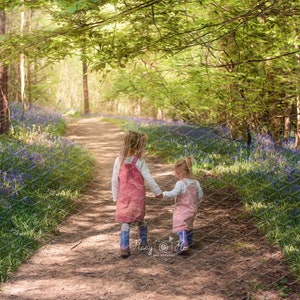 Digital background, backdrop Bluebell path digital background, backdrop, bluebells, flower background, composite background,