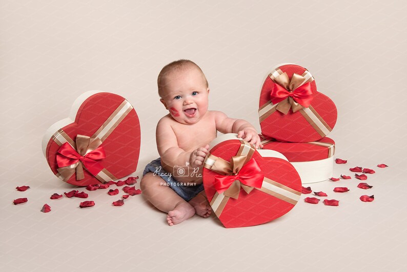 Valentines Day digital background valentine hearts sitter background photoshop love, composite digital backdrop sitter backdrop