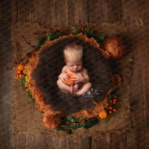 Newborn digital background, Newborn Autumn digital background, Halloween newborn digital backdrop, newborn pumpkin background