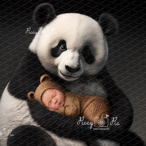 Panda bear newborn digital background, bear newborn background, bear digital backdrop, teddy digital background, newborn digital backdrop