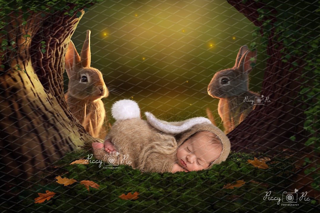 Newborn Digital Background, Baby Bunny Digital Background, Easter ...
