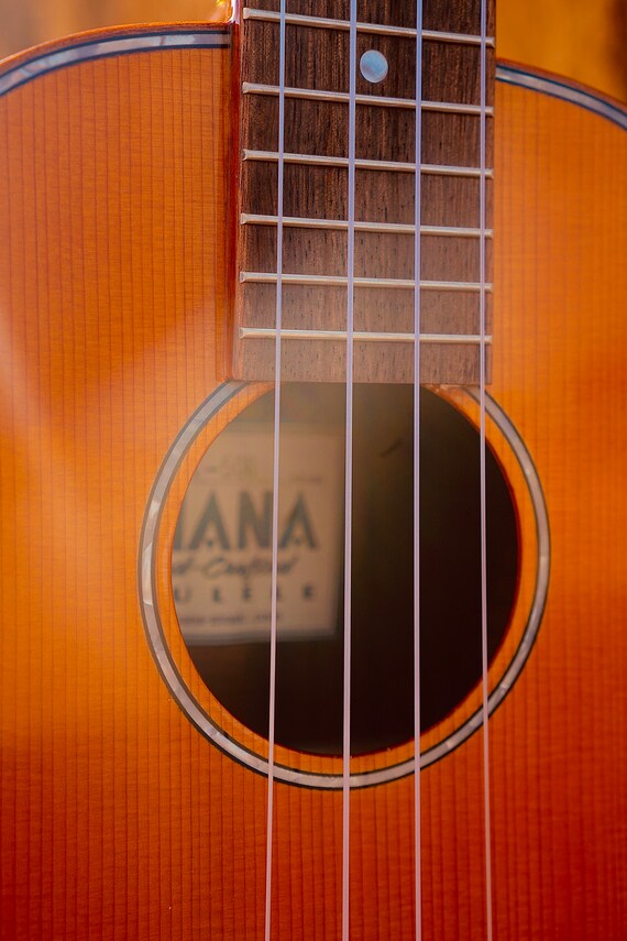 Ukuleles for Sale Ukelandia