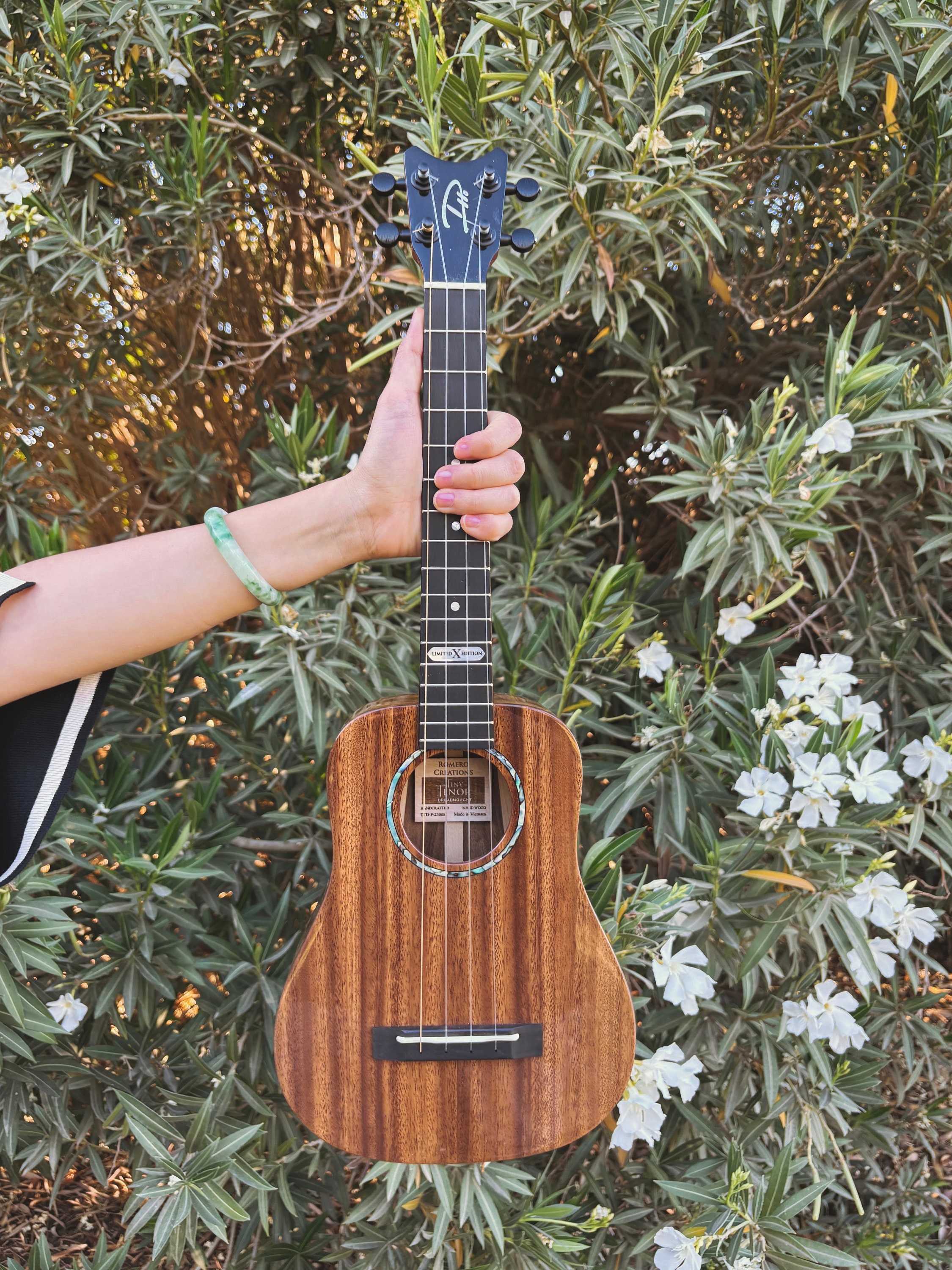 Dreadnought ukulele deals