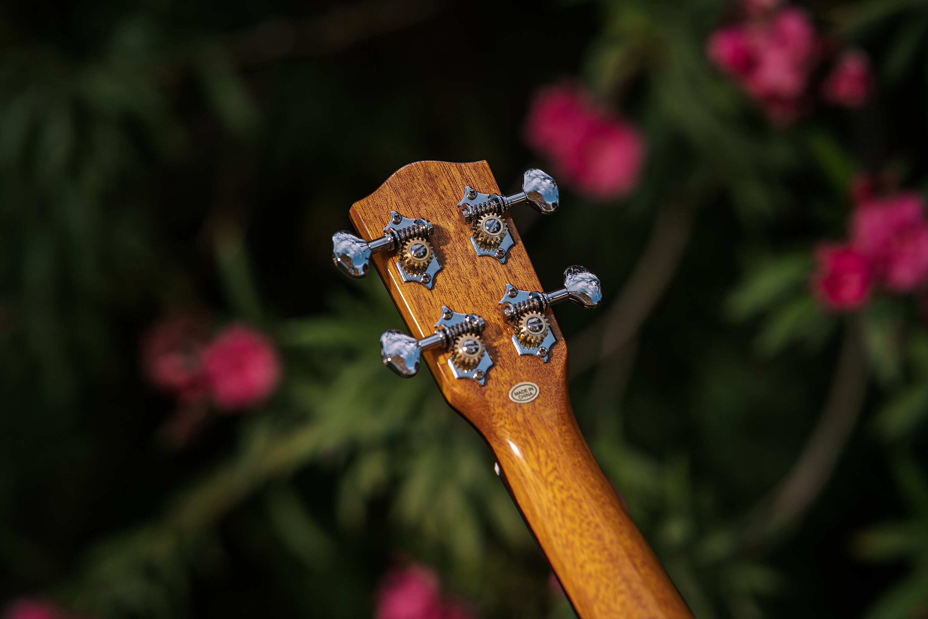 Limited Edition 220G Series Solid Mango Pineapple Ukulele