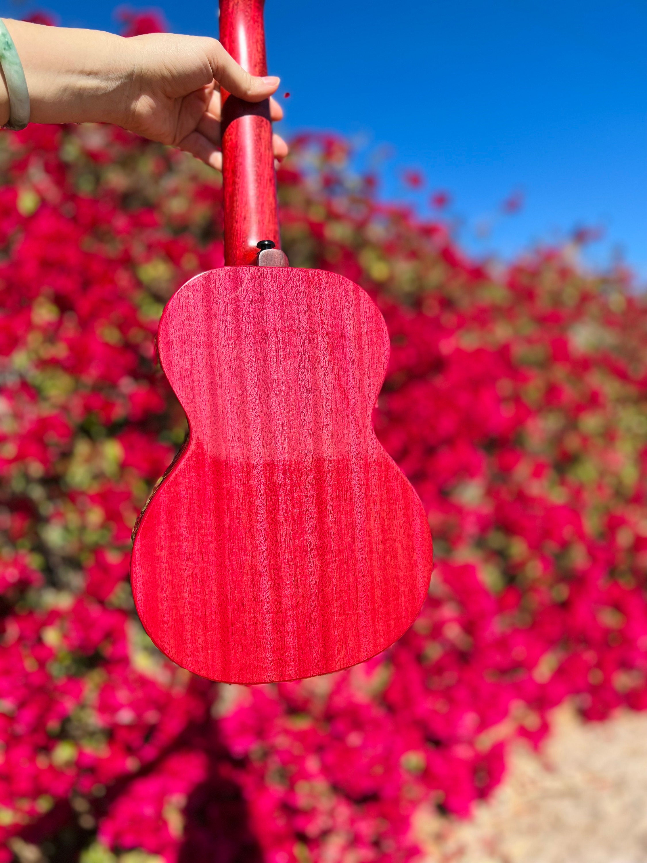 Bougainvillea Enya Ukulele Bernadette Signature Ukulele Etsy