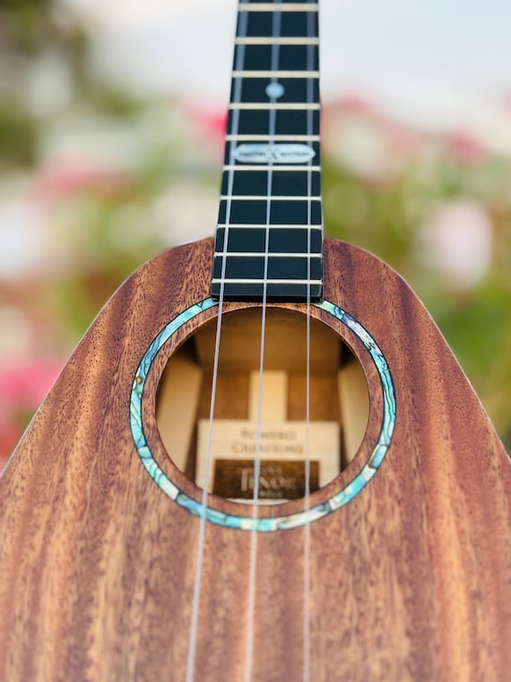 Ekolu - 3 String Ukulele by Romero Creations and Daniel Ho BUNDLE with Free Shipping, Case, and Humidifier