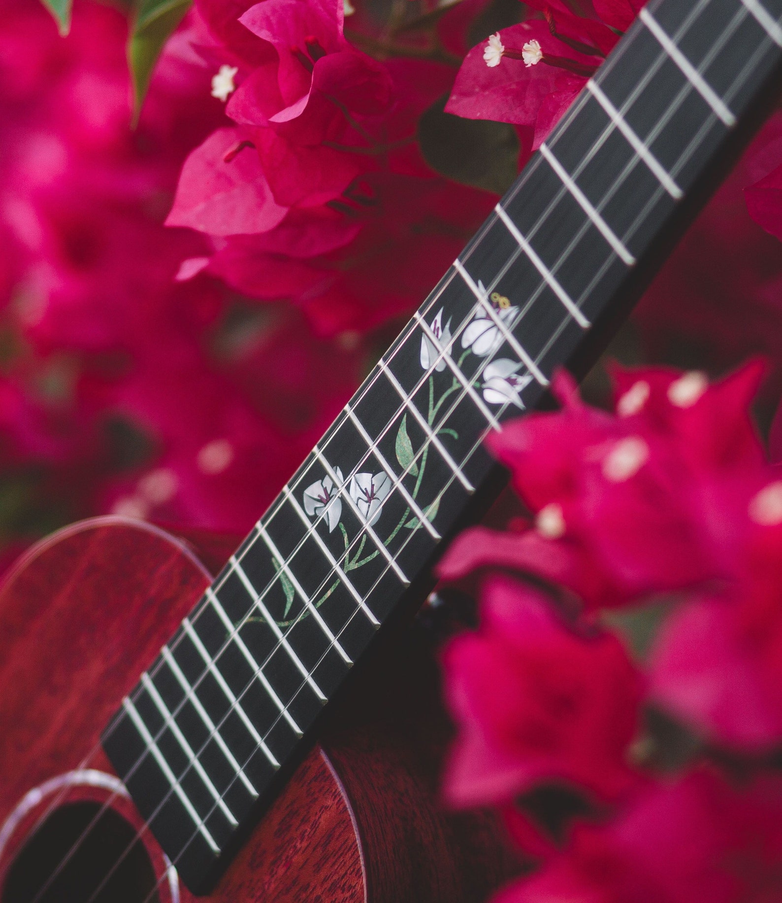 Bougainvillea Enya Ukulele Bernadette Signature Ukulele Etsy