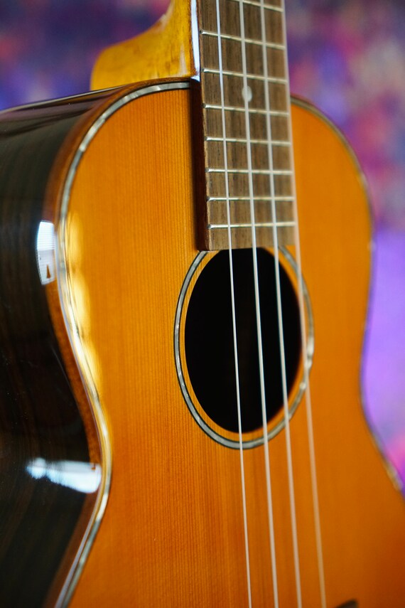 Ukuleles for Sale Ukelandia