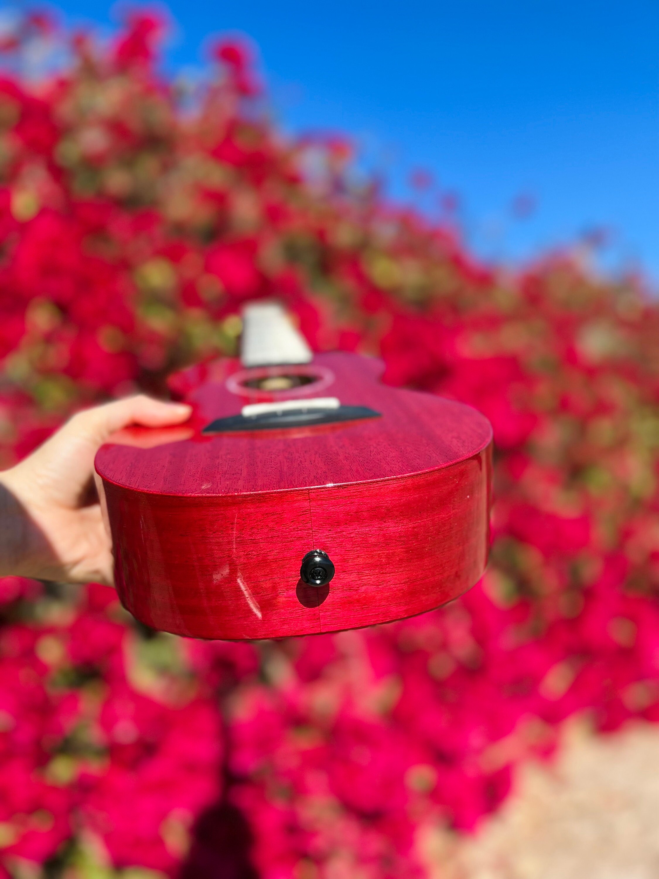 Bougainvillea Enya Ukulele Bernadette Signature Ukulele Etsy