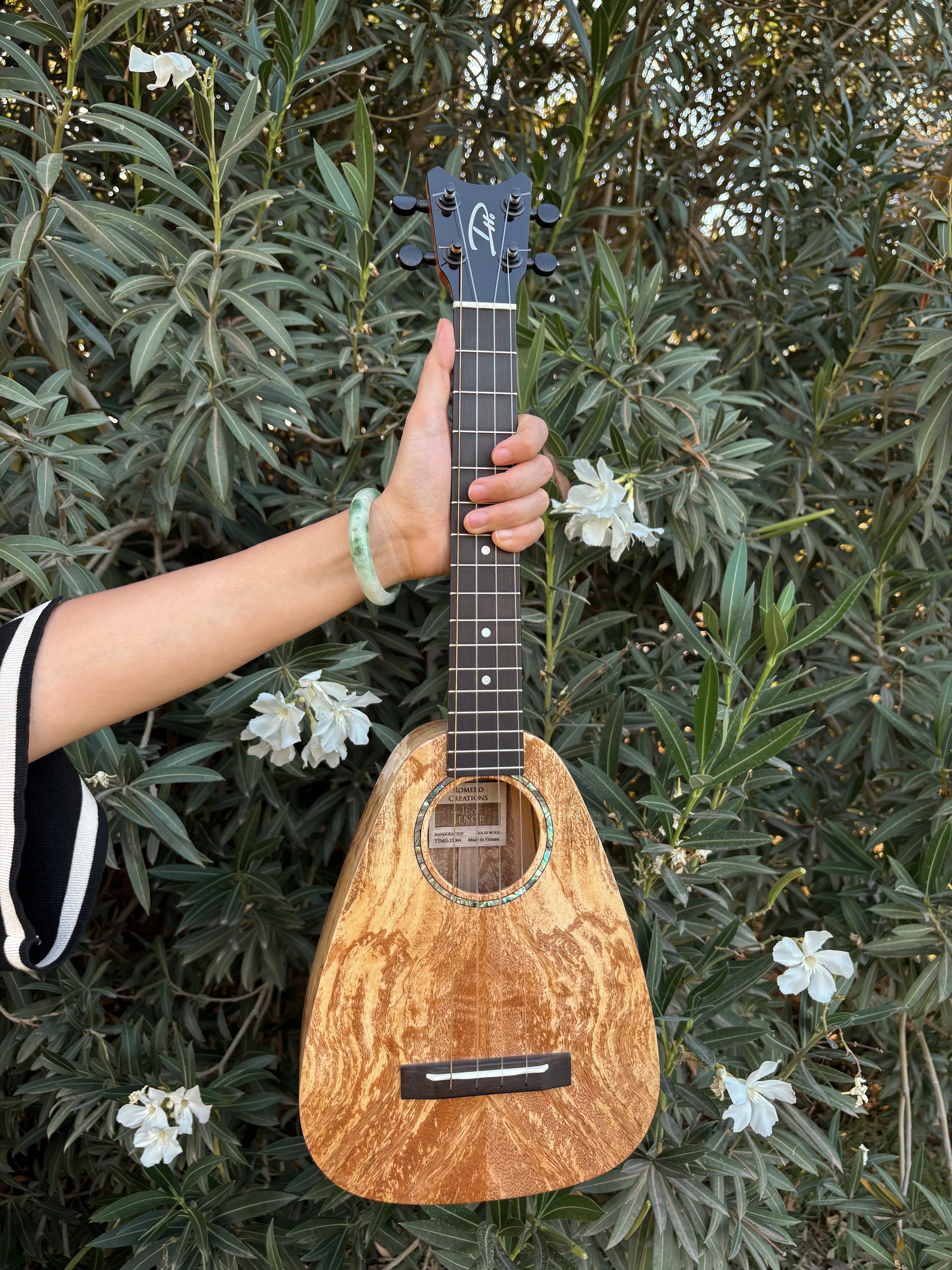 Romero Creations Daniel Ho Tiny Tenor Low G Solid Mango Wood Ukulele