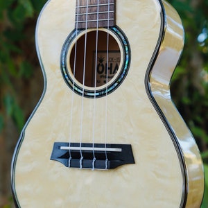 Stunning Quilted Eucalyptus Wood & Abalone Inlay Concert Ukulele BUNDLE with Vintage Style Hard Case