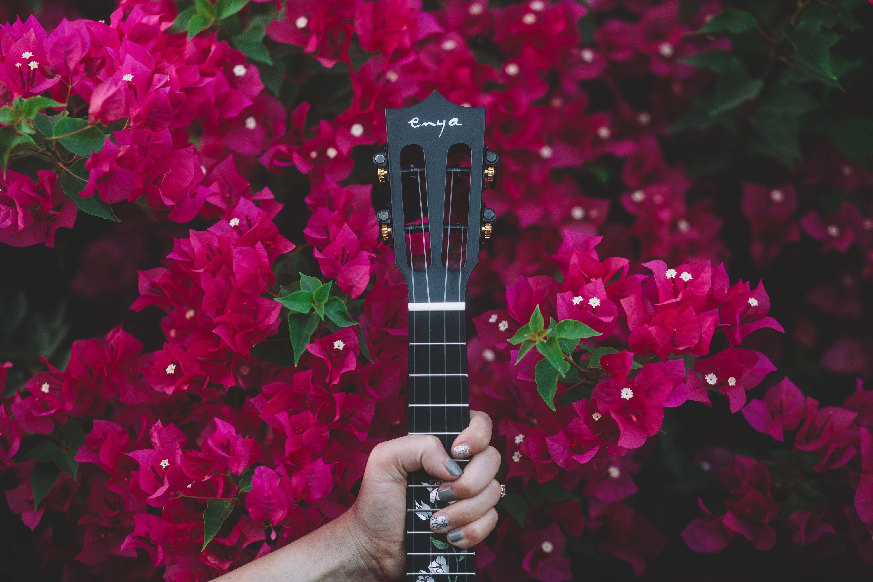 Bougainvillea Enya Ukulele Bernadette Signature Ukulele Etsy
