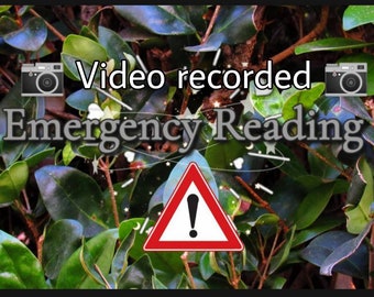 Video Emergency Tarot reading(Video recorded)